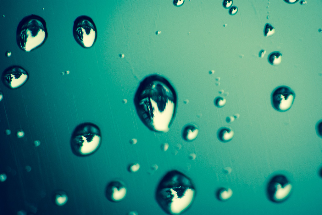 (Day 281) - Window Rain by cjphoto