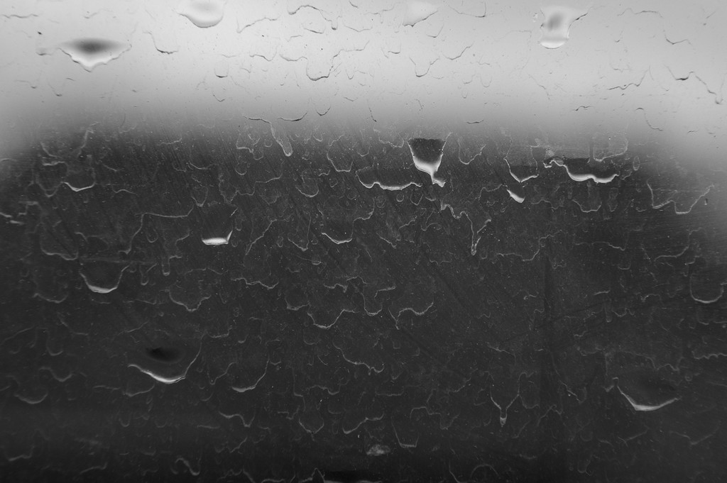 (Day 284) - Dried Rain by cjphoto