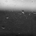 (Day 284) - Dried Rain by cjphoto