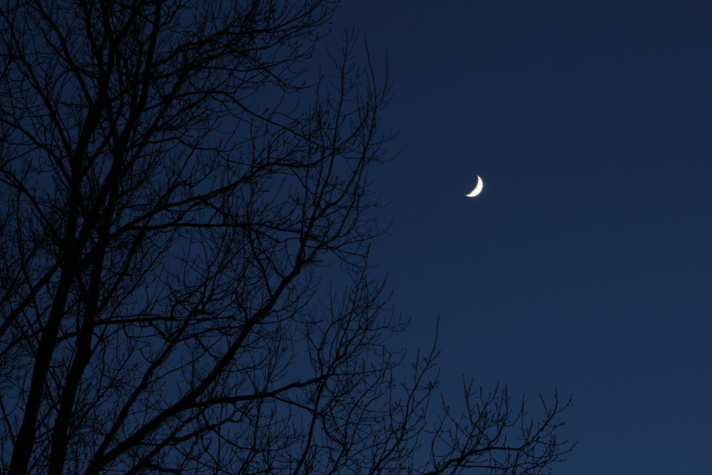 Crescent Moon at Twilight by tdaug80