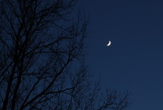 12th Dec 2018 - Crescent Moon at Twilight