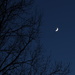 Crescent Moon at Twilight by tdaug80
