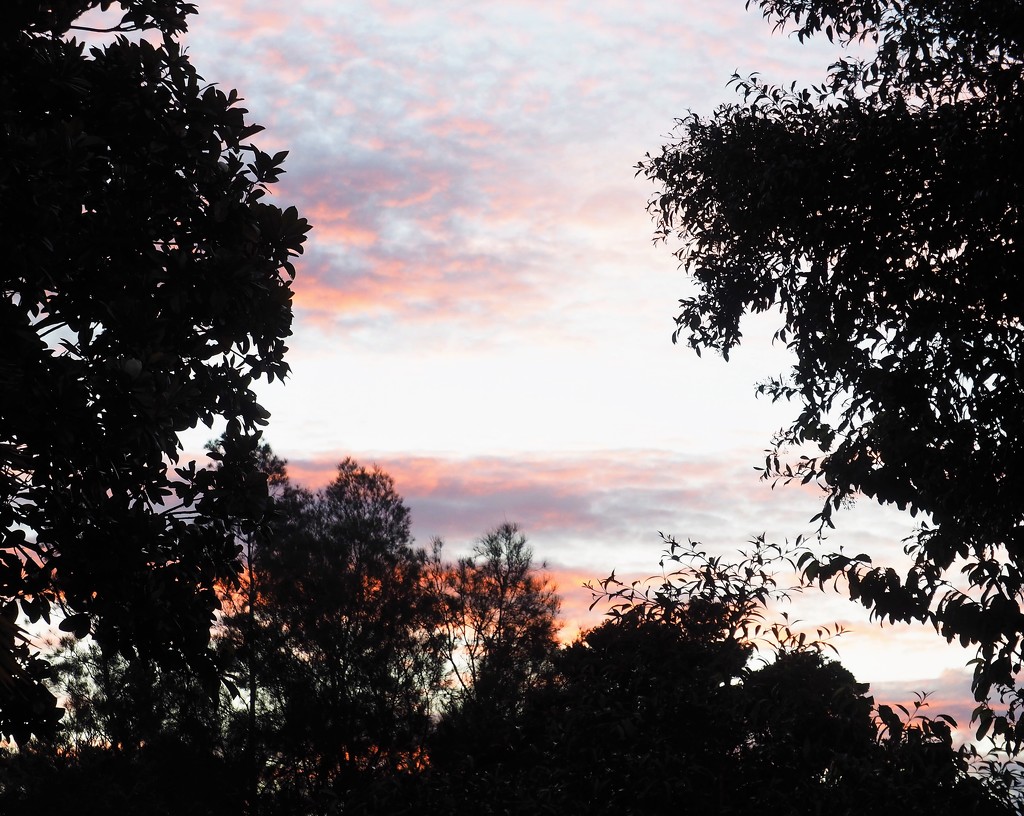 Early twilight by Dawn