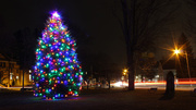 13th Dec 2018 - Westford Common Christmas Tree