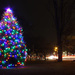 Westford Common Christmas Tree by tdaug80