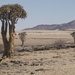 Namibia by helenhall