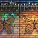Christmas Lights Butterfly ~ by happysnaps