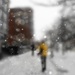Snowy Elgin by adi314