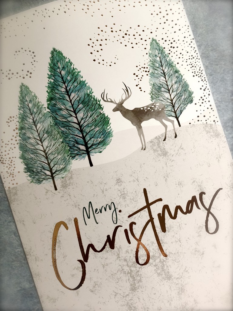 Christmas Card by kjarn