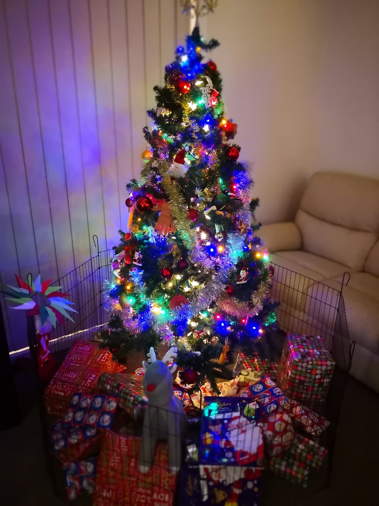 Christmas Tree by kgolab