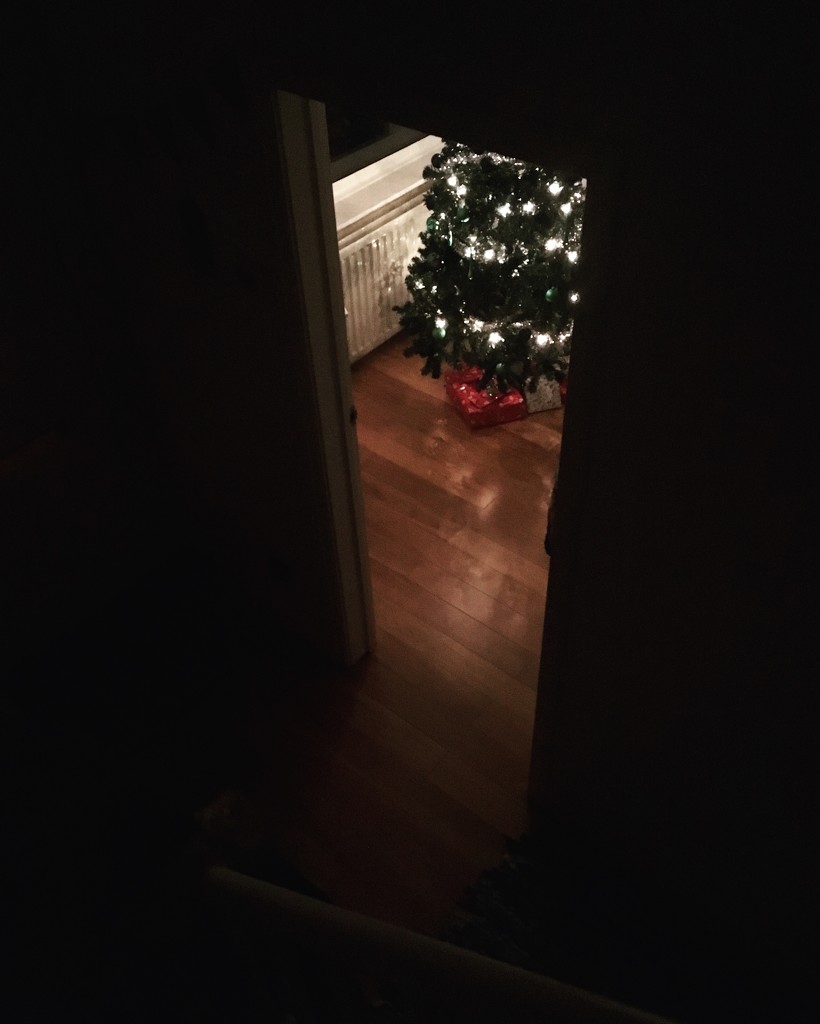 Christmas Tree by naomi