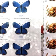 13th Dec 2018 - Blue Butterfly Stamps