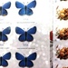 Blue Butterfly Stamps by yogiw