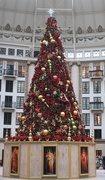 14th Dec 2018 - Christmas Tree