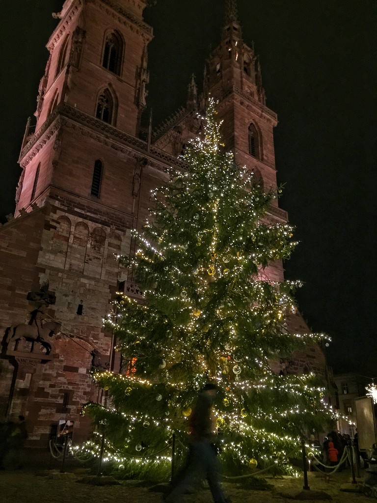 Christmas tree on the Münsterplatz.  by cocobella