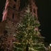 Christmas tree on the Münsterplatz.  by cocobella