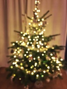 15th Dec 2018 - Bokeh Christmas tree. 