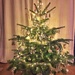 My Christmas tree.  by cocobella