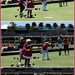 Christmas Bowls ~ by happysnaps