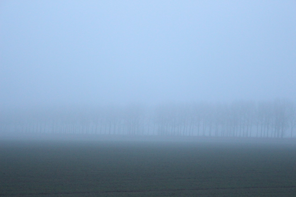 Fog. (To day`s weather)  by pyrrhula