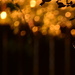 Sunset Bokeh after the Storm by nickspicsnz