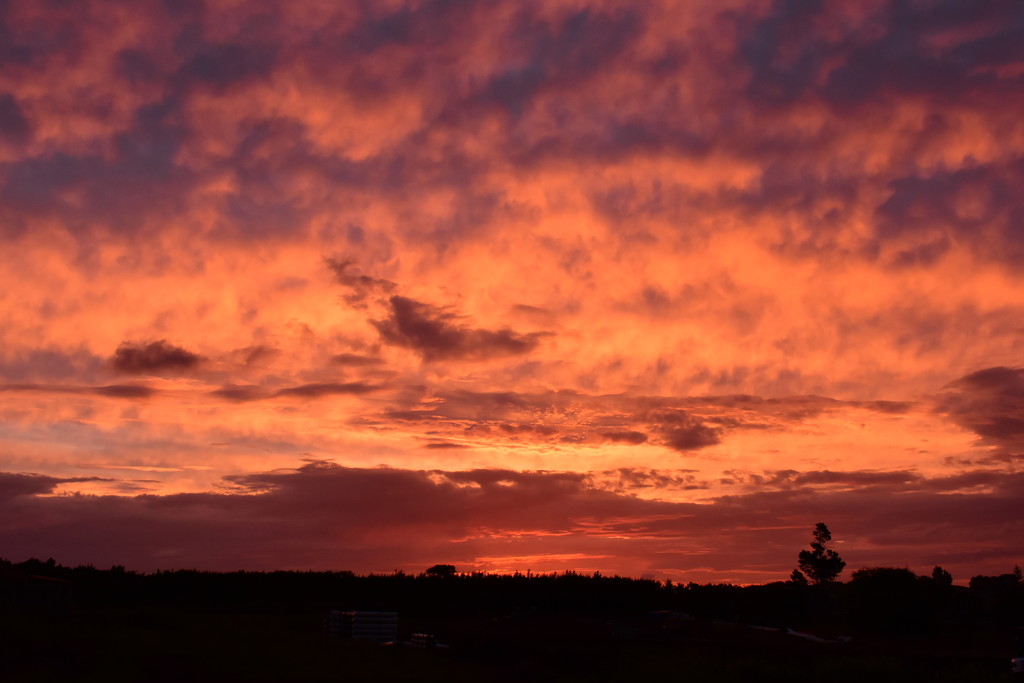 Sunset Over our Back Fence by nickspicsnz