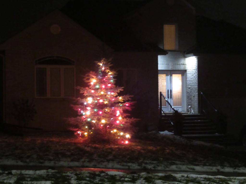 Oh Tannenbaum - Oh Christmas tree by bruni