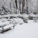 Winter in the park by kork