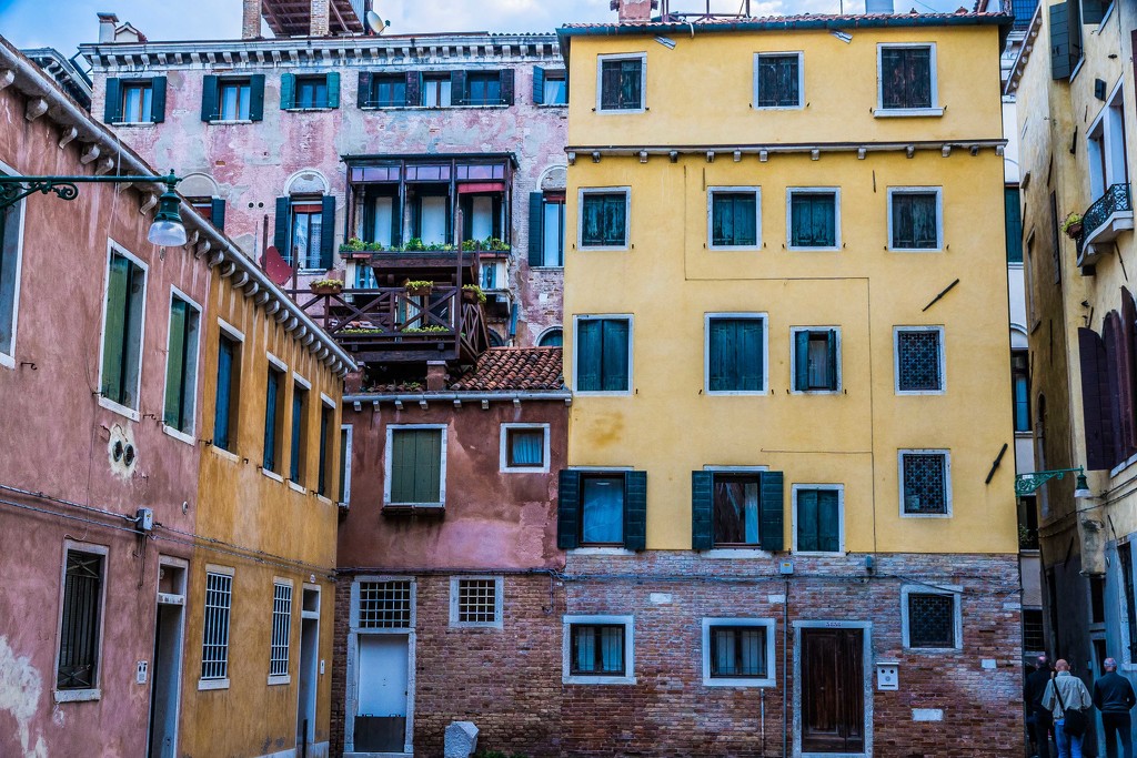 Windows in Venice by pusspup