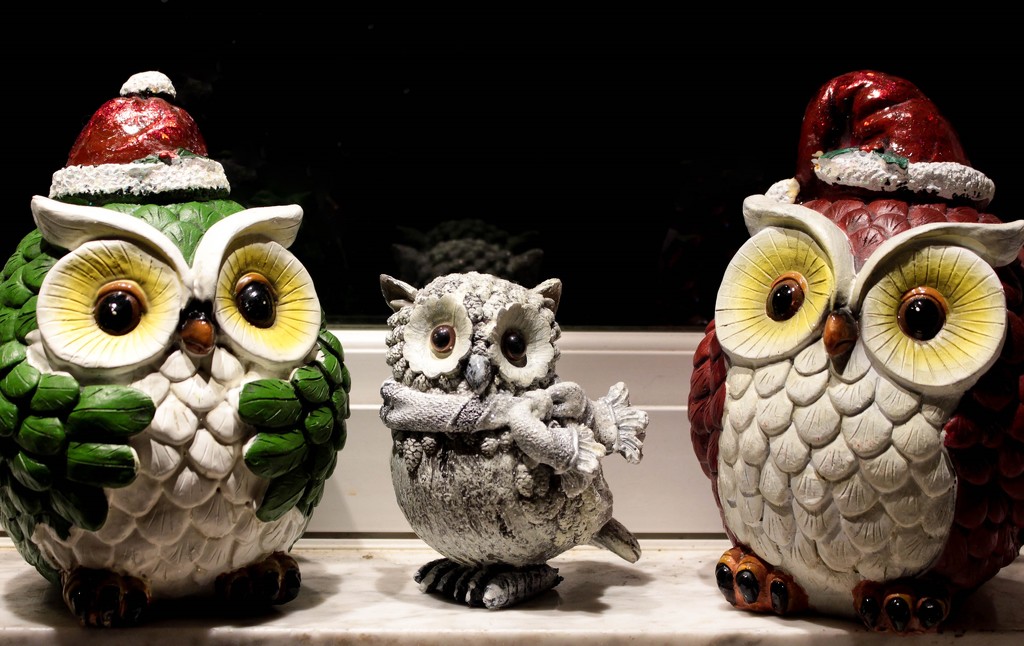 Christmas owls by mittens