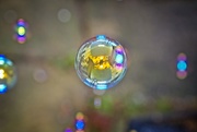 17th Dec 2018 - Bubbles