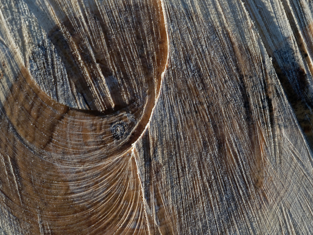 wood textures by rminer