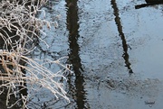 17th Dec 2018 - Frosty Reflections