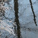 Frosty Reflections by radiogirl