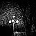 Night Tree by joysabin