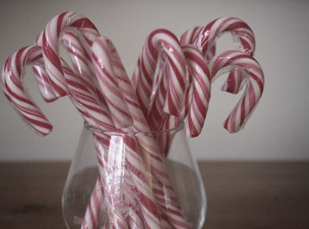 Candy canes by jacqbb