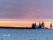 18th Dec 2018 - Rural Sunset 