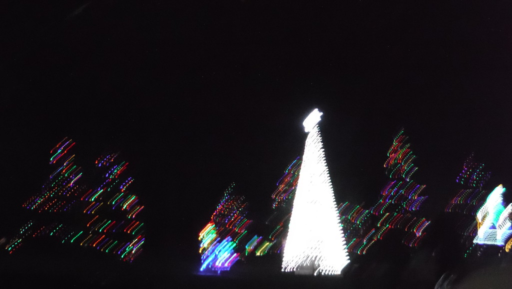 Christmas Lights by spanishliz