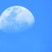daytime moon by koalagardens