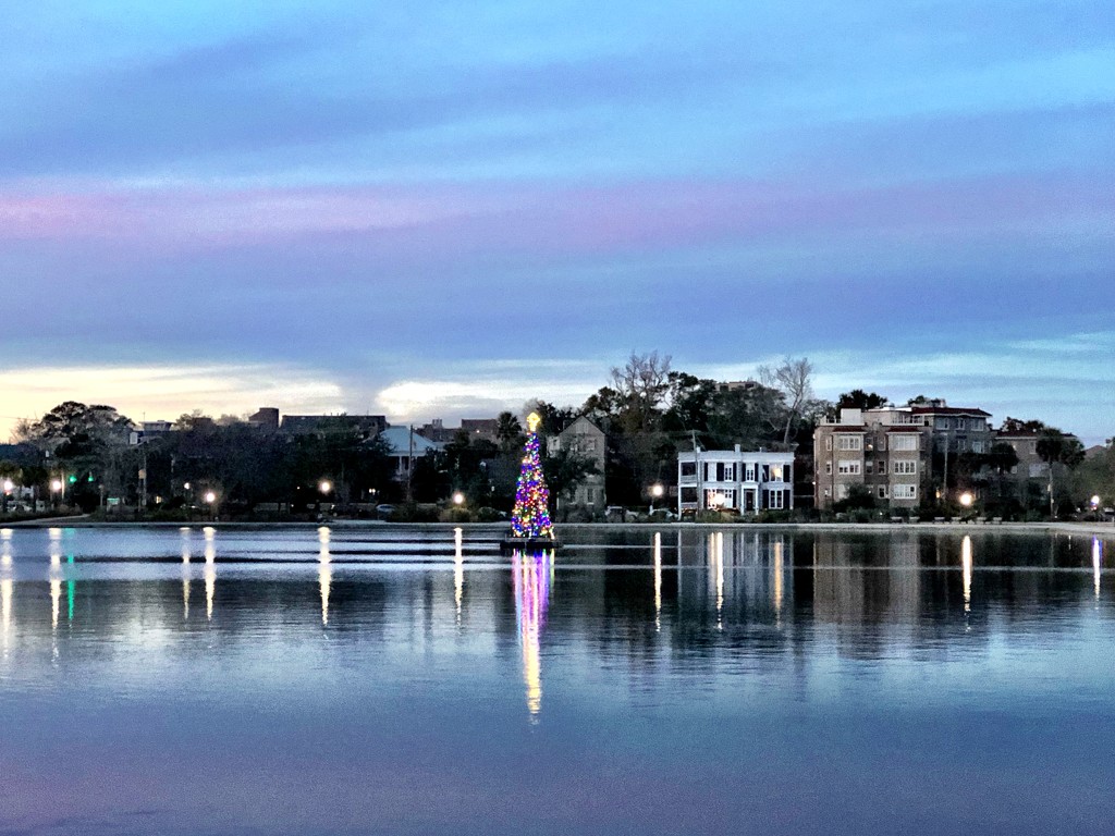 Christmas tree in Colonial Lake, Charleston, SC by congaree