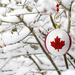 Canadian Christmas by novab