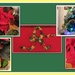 Christmas collage with Arthur's blanket. by grace55