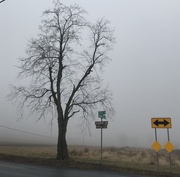 16th Dec 2018 - More Fog