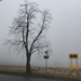More Fog by beckyk365