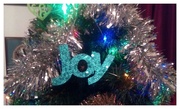 20th Dec 2018 - Joy for Jesus's birthday.