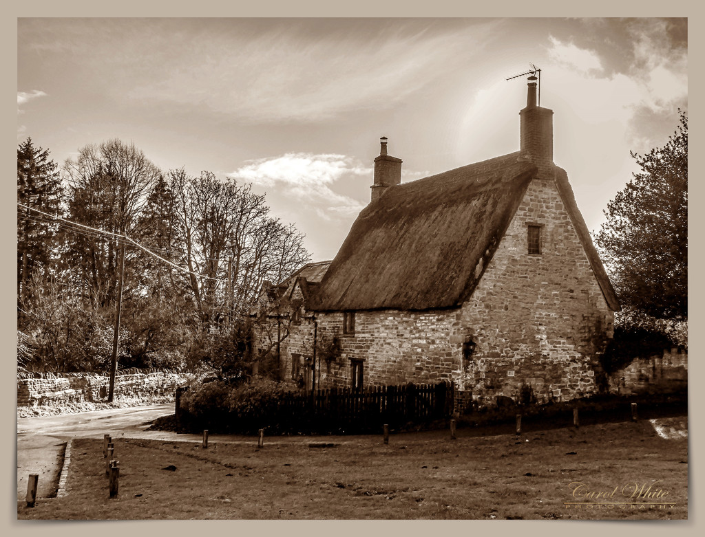 Thatched Cottage, Upper Harlestone by carolmw