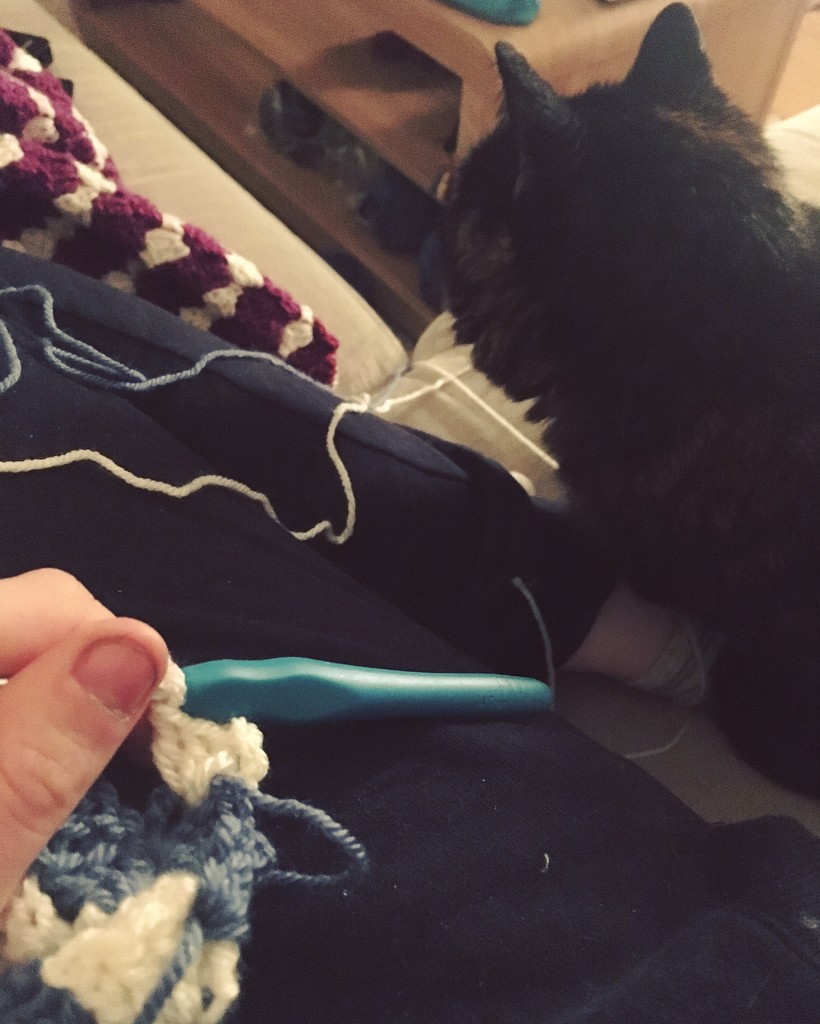 Cat and Crochet by naomi
