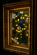 22nd Dec 2018 - tree in the mirror