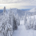 View from the chairlift by kiwichick