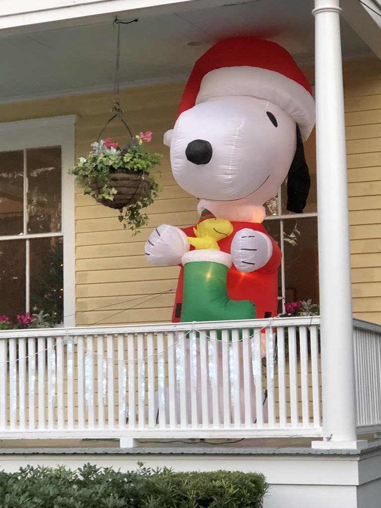 Snoopy all decked out for Christmas by congaree